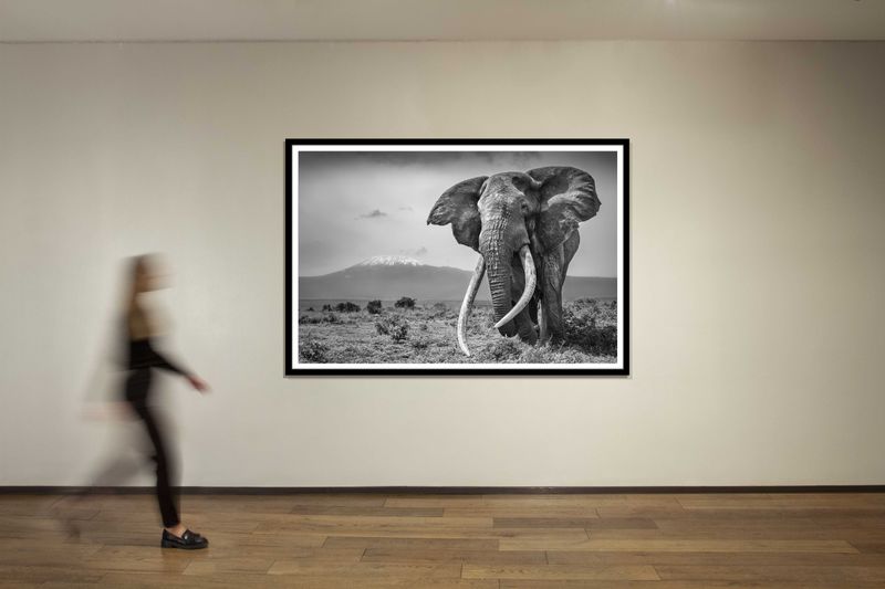 40 x 60 in., edition of 15